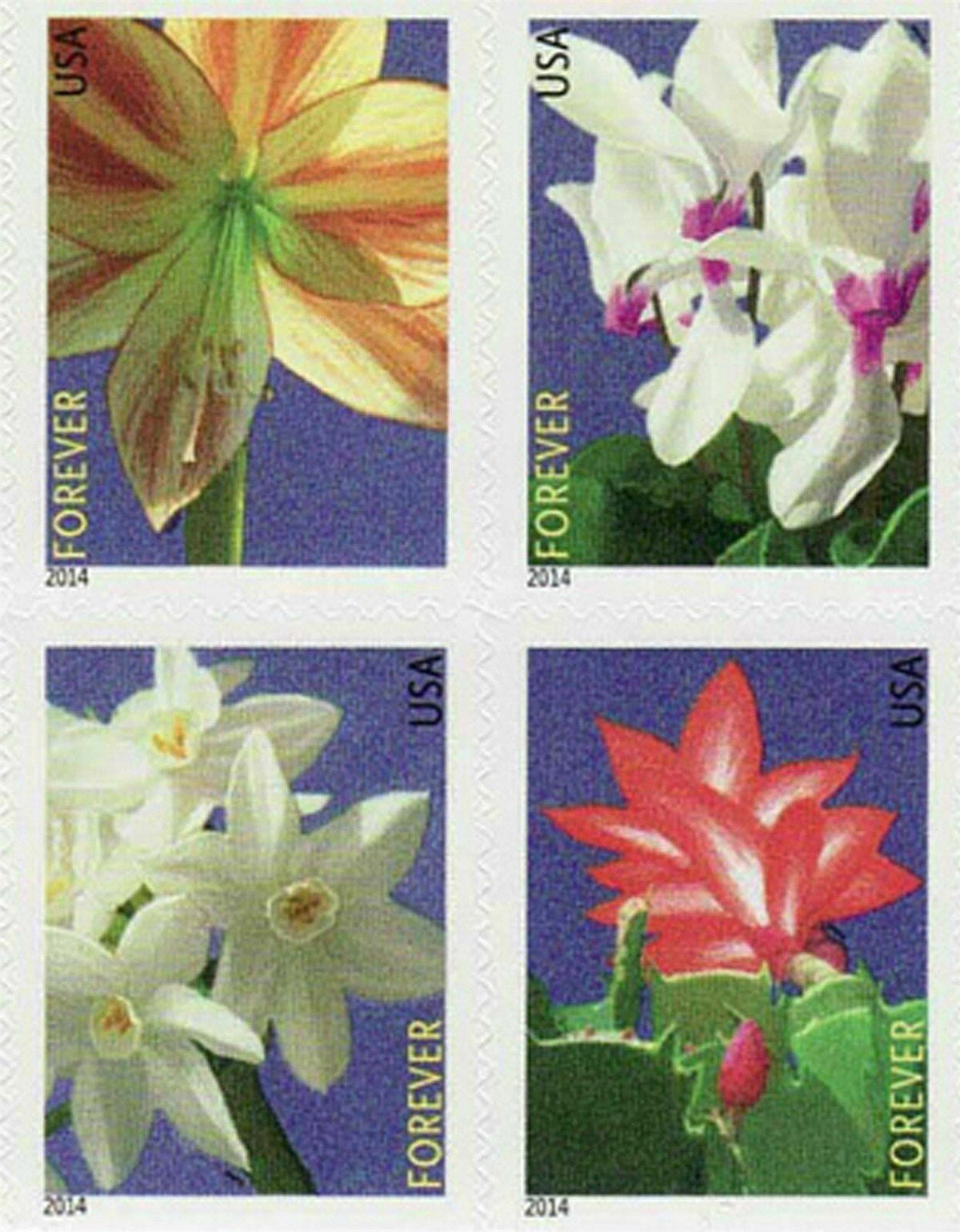 2014 USPS Winter Flowers Forever Stamps Booklet of 20 (4 Designs)