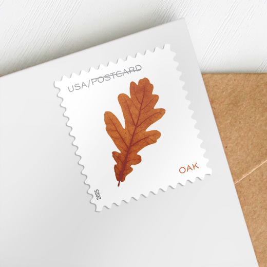 USPS 2025 Vibrant Leaves Postcard Stamps - Oak Leaf Coil Single