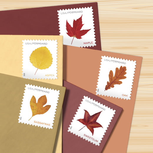 USPS 2025 Vibrant Leaves Postcard Stamps - Oak Leaf Coil Single