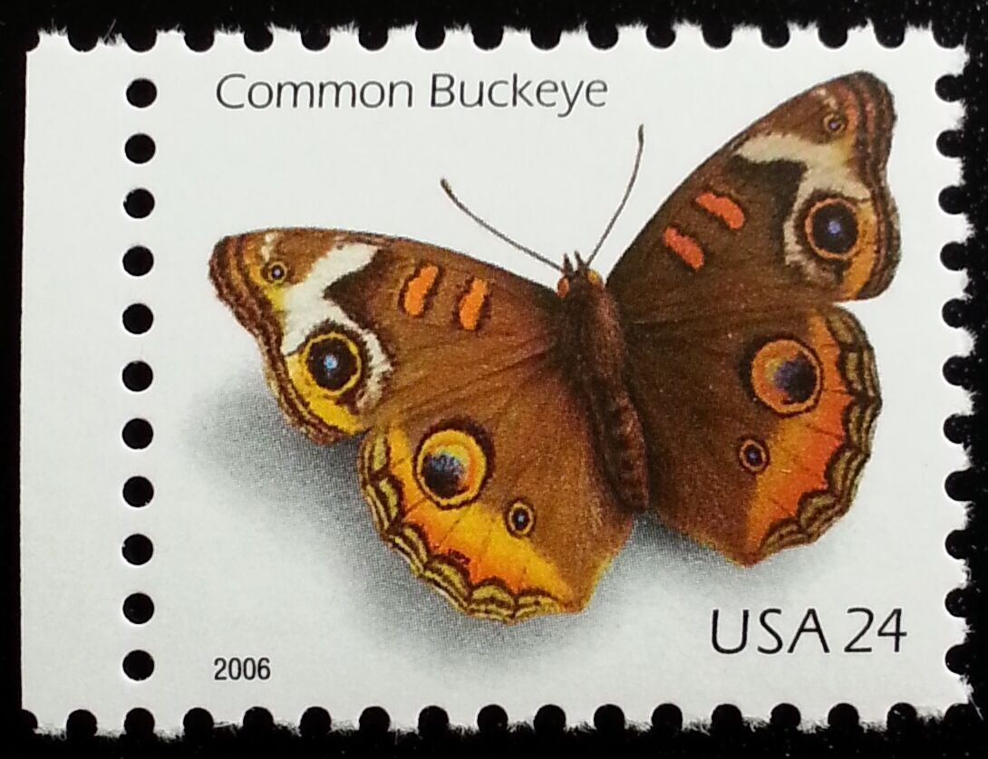 USPS 2006 Common Buckeye Butterfly 24¢ Stamps Booklet of 10 - Mint (Scott #4001b)