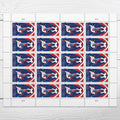 USPS Women's Soccer Forever Stamps Sheet of 20