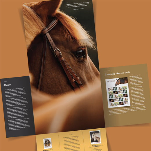 2024 USPS Horses Forever Stamps Pane of 20 (5 Designs)
