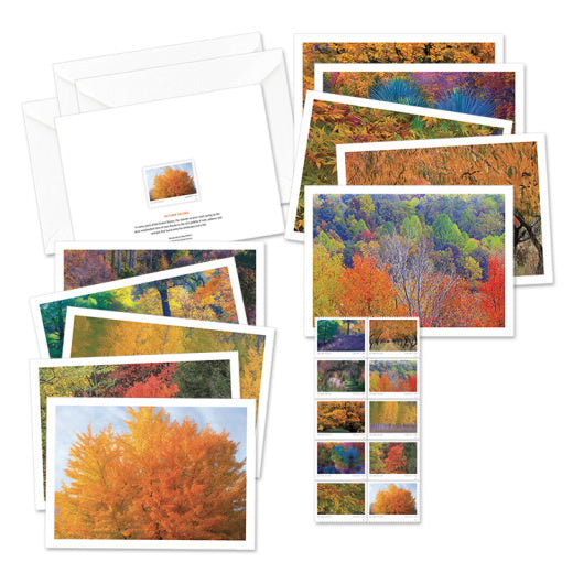 2024 USPS Autumn Colors Forever Stamps Pane of 20 (10 Designs)