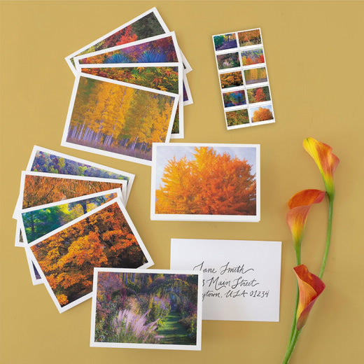 2024 USPS Autumn Colors Forever Stamps Pane of 20 (10 Designs)