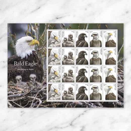 USPS Bald Eagle: Hatchling to Adult Forever Stamps Sheet of 20
