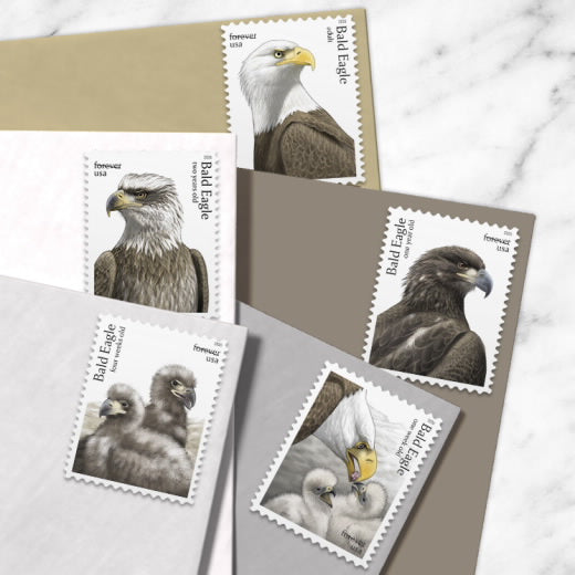 USPS Bald Eagle: Hatchling to Adult Forever Stamps Sheet of 20
