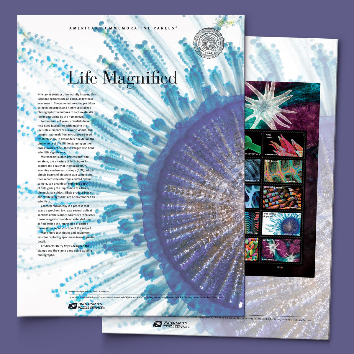 2023 USPS Life Magnified Forever Stamps Pane of 20 (20 Designs)