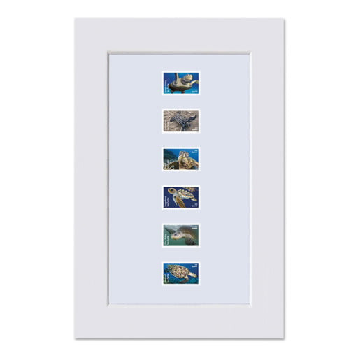 2024 USPS Protect Sea Turtles Forever Stamps Pane of 18 (6 Designs)