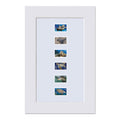 2024 USPS Protect Sea Turtles Forever Stamps Pane of 18 (6 Designs)