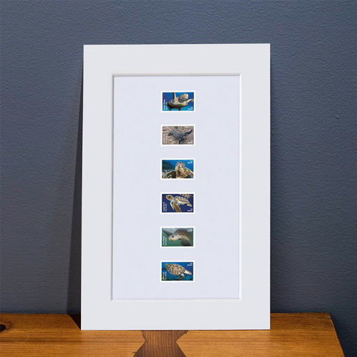 2024 USPS Protect Sea Turtles Forever Stamps Pane of 18 (6 Designs)