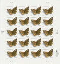 USPS 2006 Common Buckeye Butterfly 24¢ Stamps Booklet of 10 - Mint (Scott #4001b)