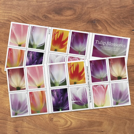 2023 USPS Tulip Blossoms Forever Stamps Booklet of 20