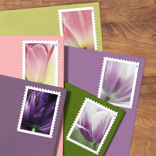2023 USPS Tulip Blossoms Forever Stamps Booklet of 20