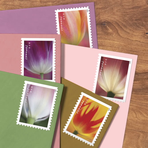 2023 USPS Tulip Blossoms Forever Stamps Booklet of 20