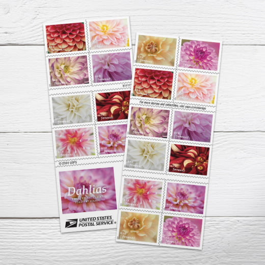 USPS Delightful Dahlias Forever Stamps Booklet of 20