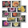 USPS 2019 Cactus Flowers Forever Stamps Booklet of 20 - Mint (10 Designs, Scott #5350-5359)