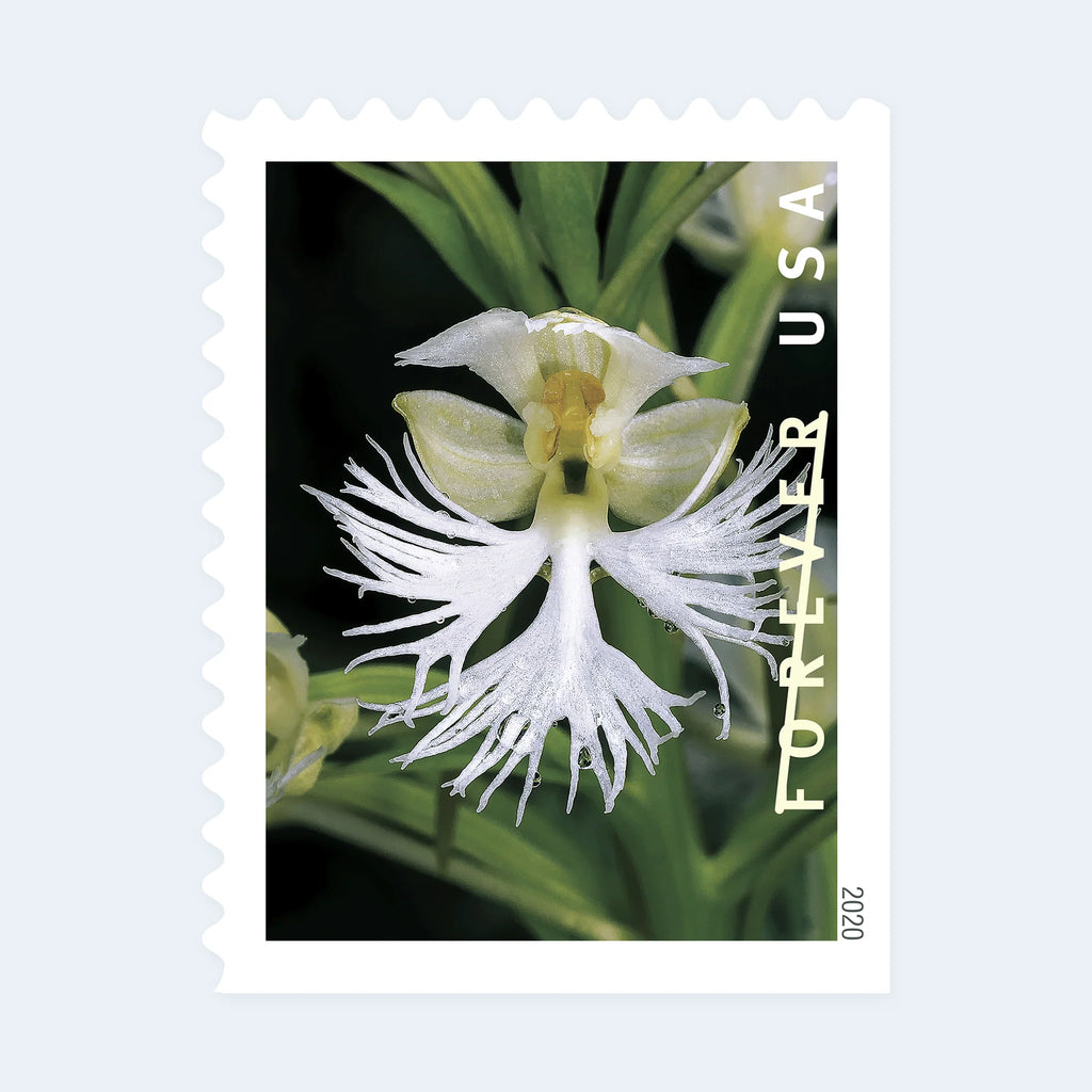 USPS 2020 Wild Orchids Forever Stamps Booklet of 20 - Mint (10 Designs, Scott #5445-5454)