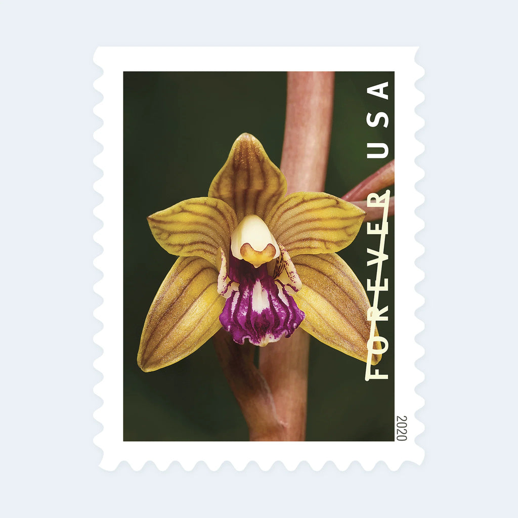 USPS 2020 Wild Orchids Forever Stamps Booklet of 20 - Mint (10 Designs, Scott #5445-5454)