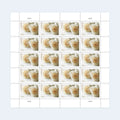 USPS 2011 Wedding Roses Forever Stamps Sheet of 20 - Mint (Scott #4520)