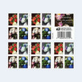 USPS 2017 Flowers From the Garden Forever Stamps Booklet of 20 - Mint (4 Designs, Scott #5237-5240)