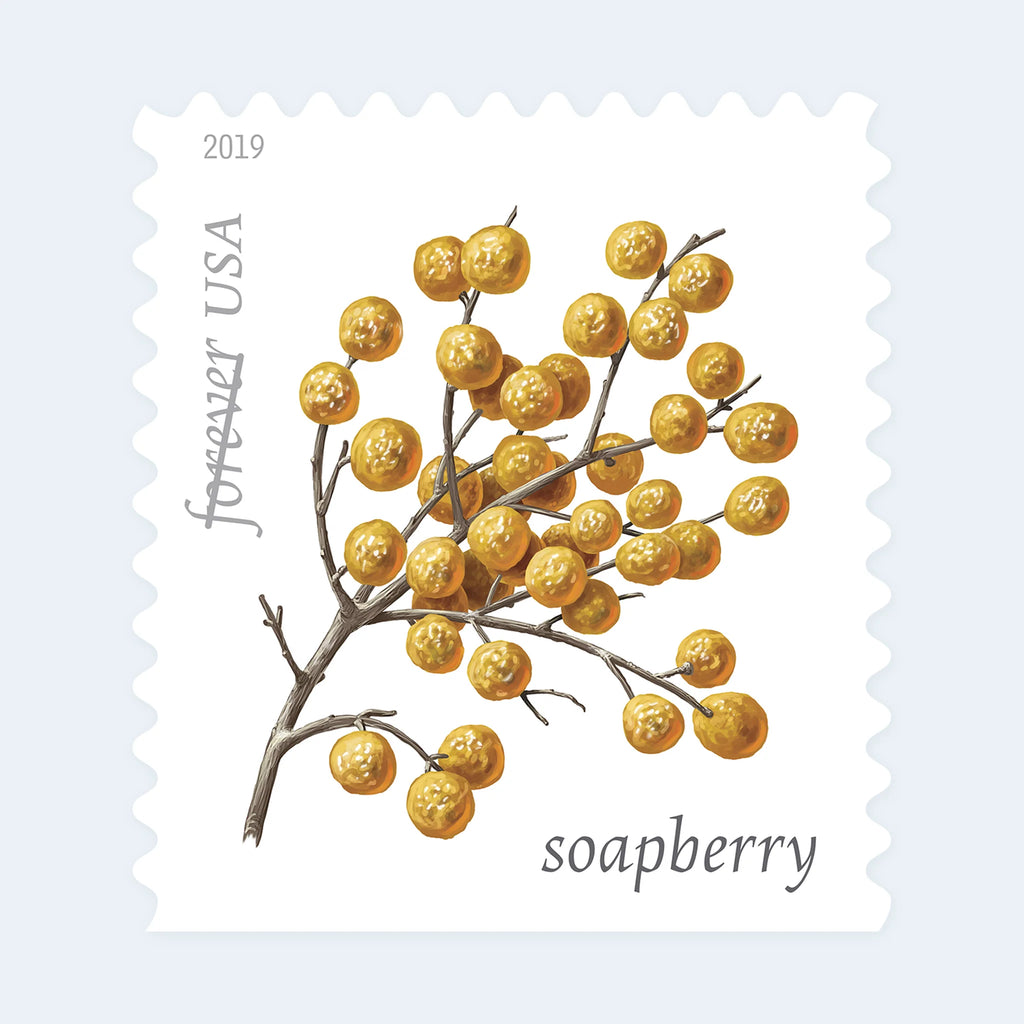 USPS Winter Berries Forever Stamps Booklet of 20