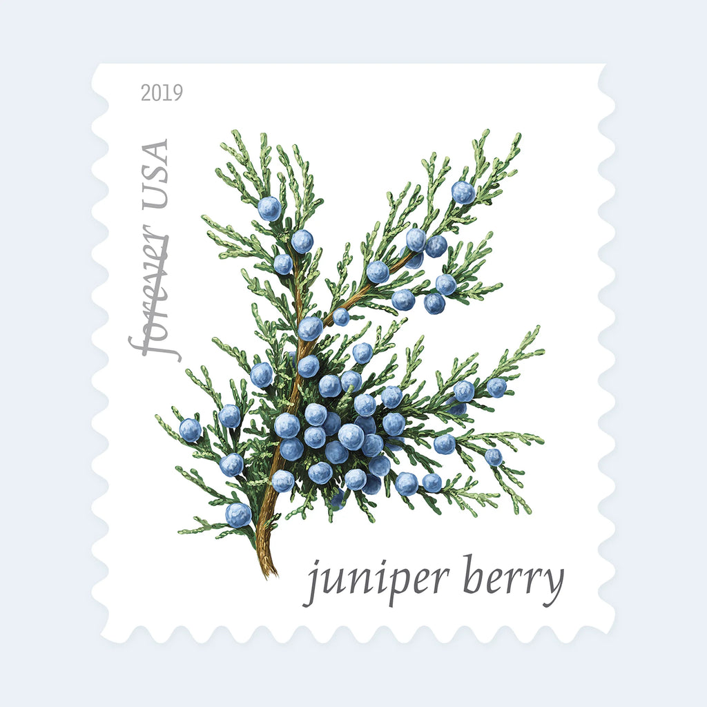USPS Winter Berries Forever Stamps Booklet of 20