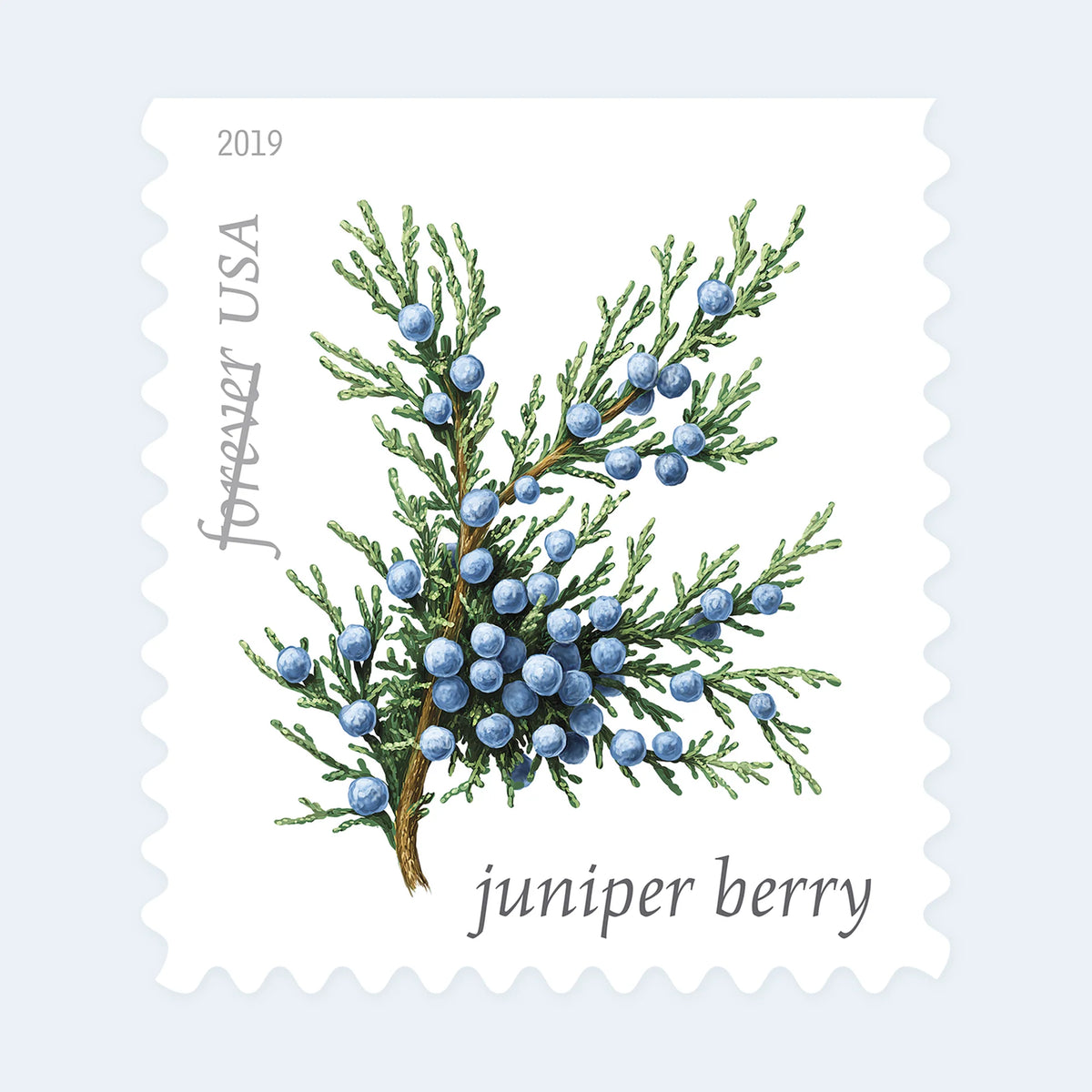 USPS Winter Berries Forever Stamps Booklet of 20
