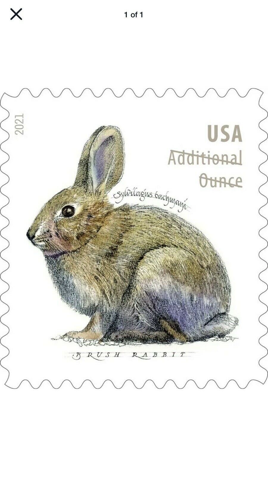 2021 USPS Brush Rabbit Additional Ounce Stamps Pane of 20