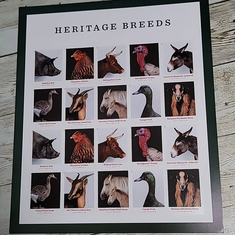 USPS 2021 Heritage Breeds Forever Stamps Sheet of 20 - Mint (10 Designs, Scott #5583-5592)
