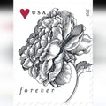 2015 USPS Vintage Rose Forever Stamps Pane of 20