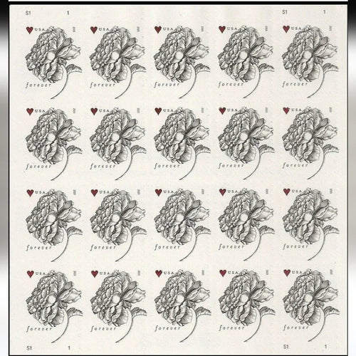 2015 USPS Vintage Rose Forever Stamps Pane of 20