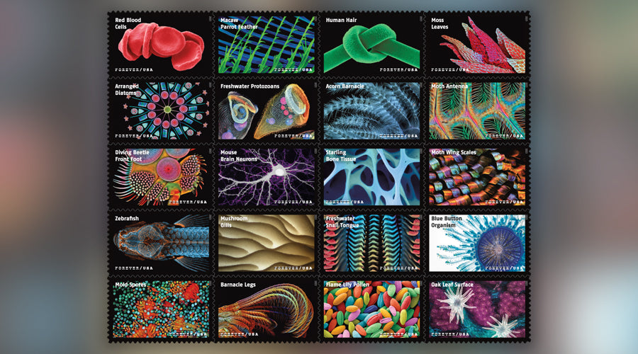 2023 USPS Life Magnified Forever Stamps Pane of 20 (20 Designs)