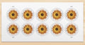USPS African Daisy Global Forever Stamps Sheet of 10