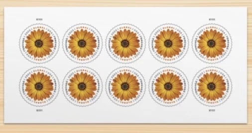 USPS African Daisy Global Forever Stamps Sheet of 10