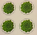 2017 USPS Green Succulent Global Forever Stamps Pane of 10