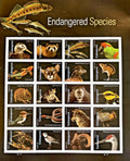 2023 USPS Endangered Species Forever Stamps Pane of 20