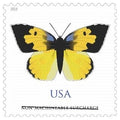 USPS California Dogface Butterfly Non-Machineable Stamps Sheet of 20